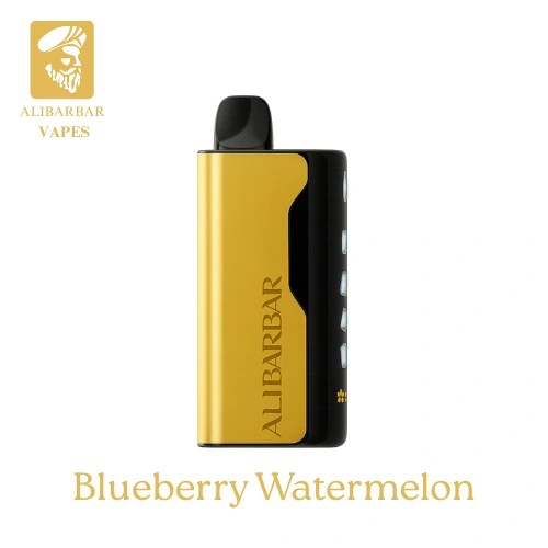 Blueberry Watermelon – ICE ADJUST 12000